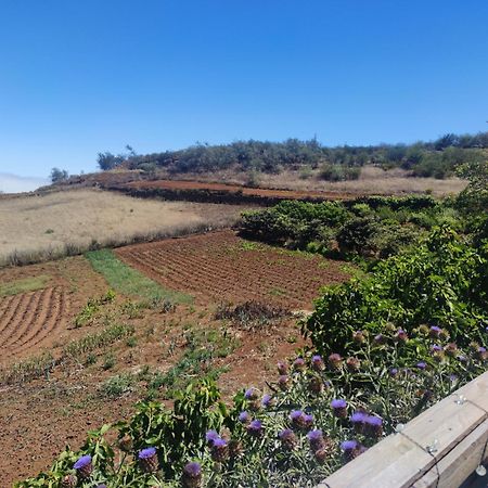 Finca El Cercadillo กัลดาร์ ภายนอก รูปภาพ