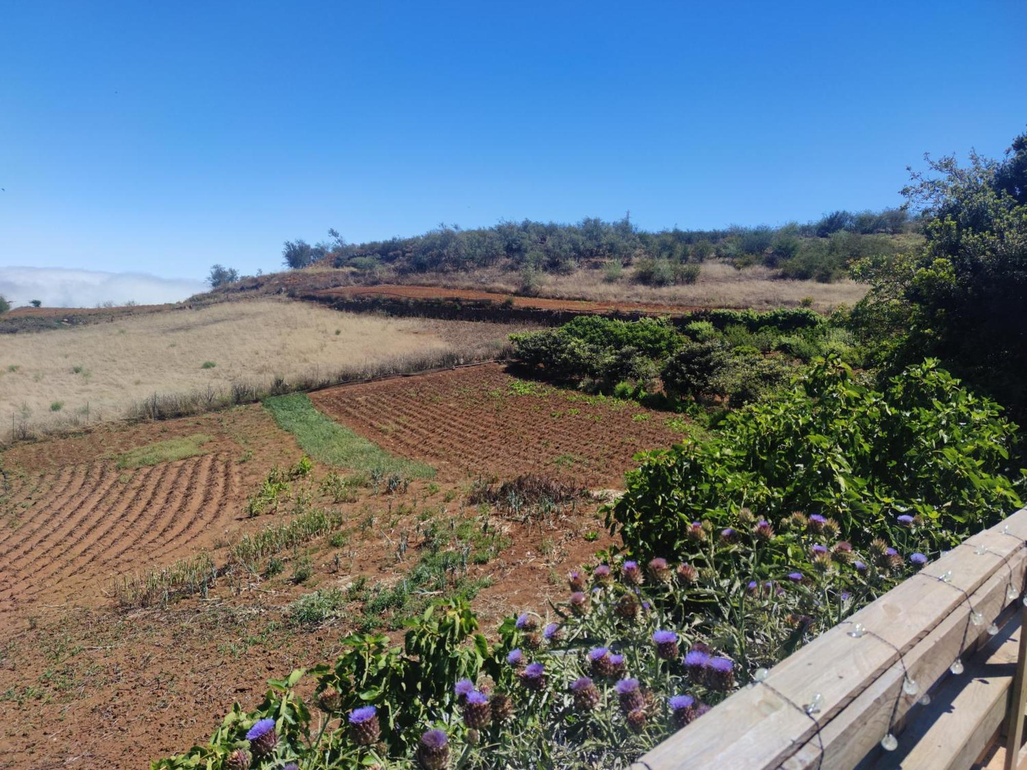 Finca El Cercadillo กัลดาร์ ภายนอก รูปภาพ